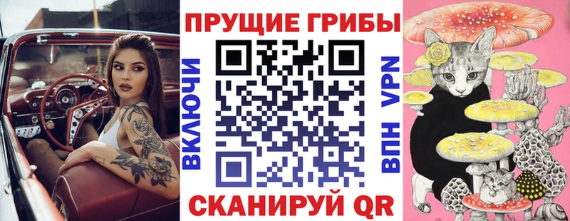 Купить закладки  Ельня  Галлюциногенные грибы Magic Shrooms 